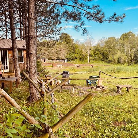 D & K Ranch “Max'S Cabin” Interlaken Exterior photo