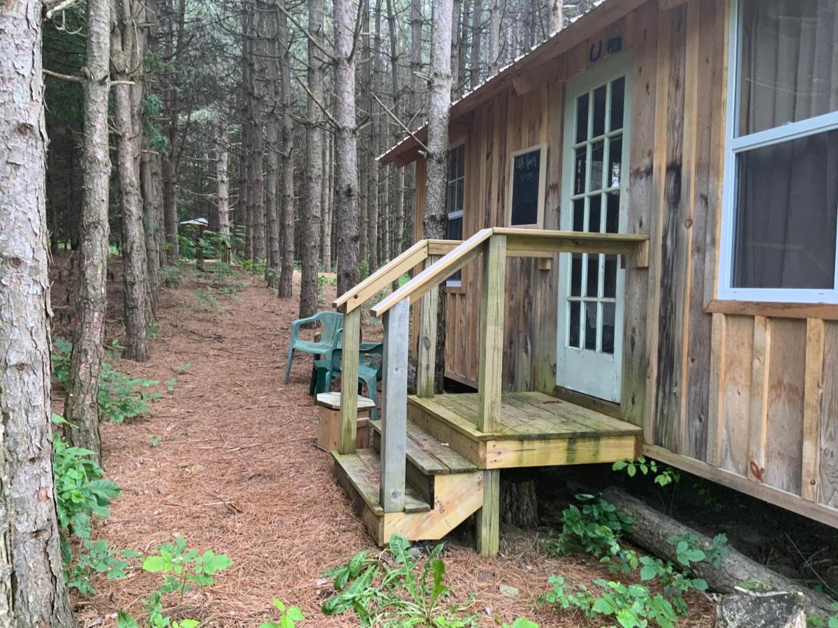 D & K Ranch “Max'S Cabin” Interlaken Exterior photo